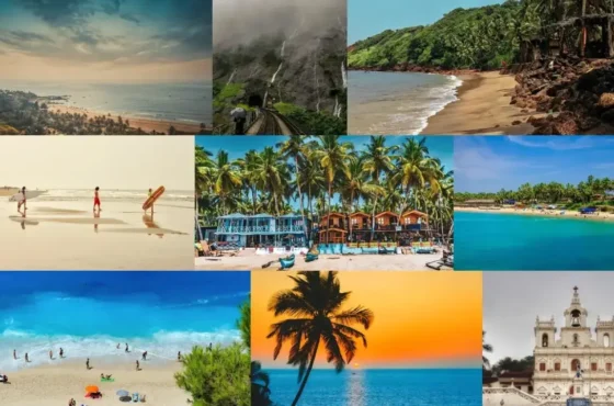 Goa – Luxury Villas / Private Pool Villas